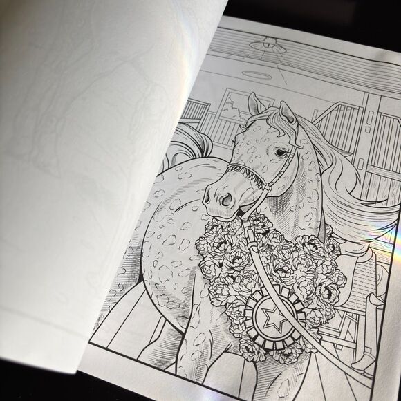 Deena Stone HORSES Coloring Book For Adults NEW - Picture 6 of 6